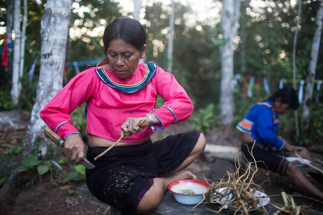 Ayahuasca retritas ir Master Plant dieta Peru