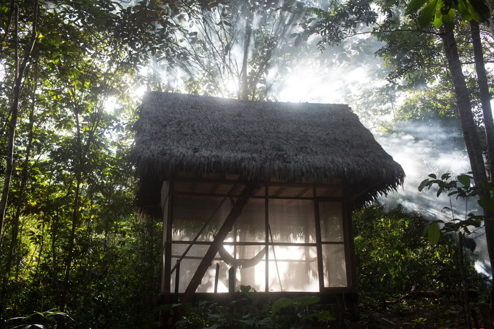Ayahuasca retritas ir Master Plant dieta Peru
