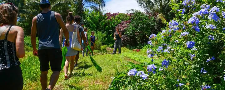 Aloha Maui ūkio turas