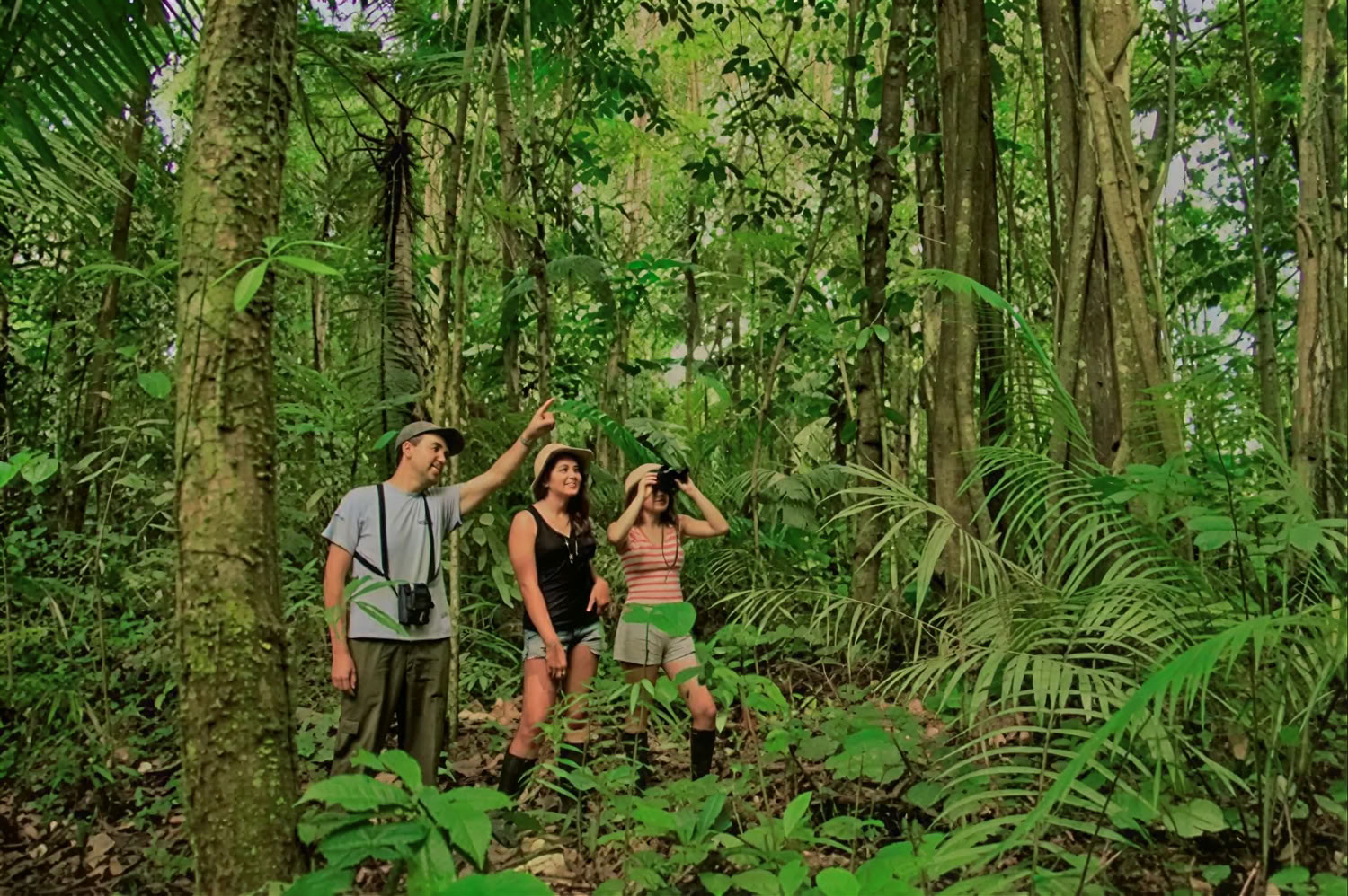 Ayahuasca retritas