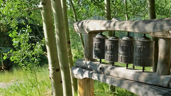 Awake in the Wild (spalis): Išminties ir pabudimo gamtoje tyrinėjimas