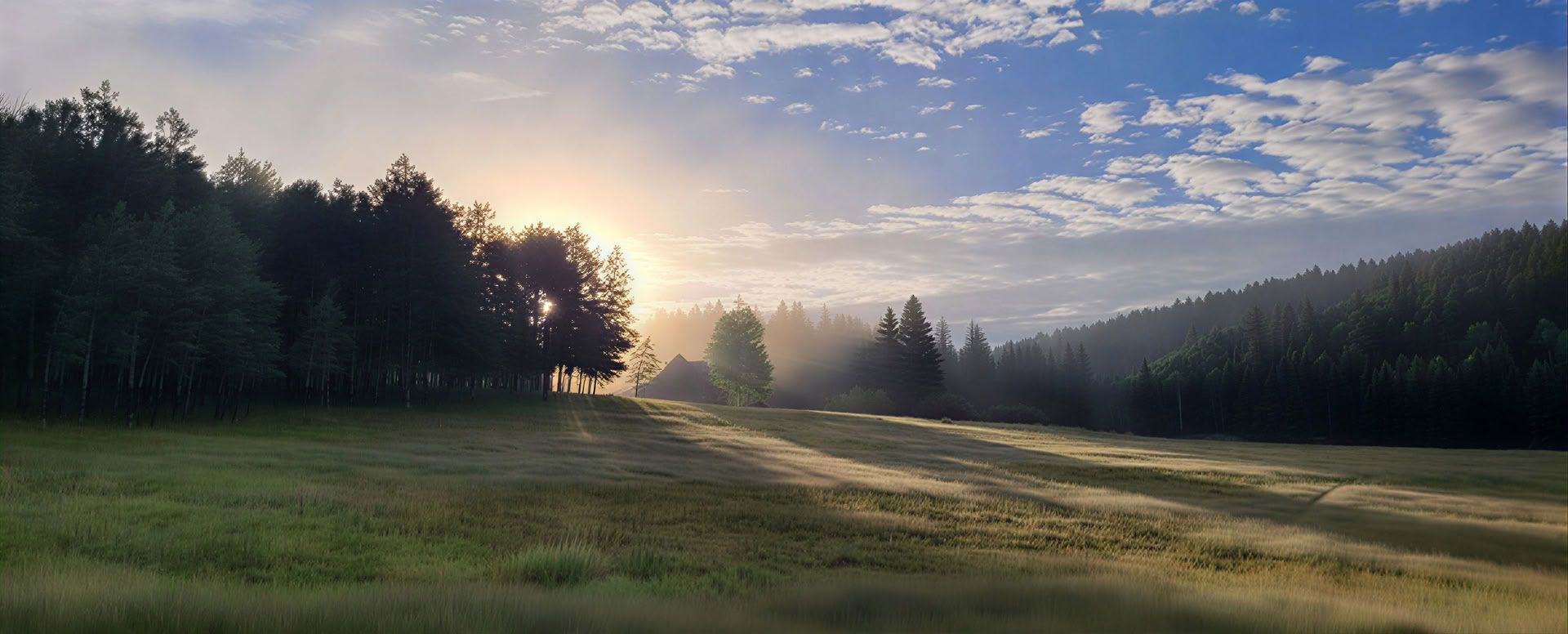 Awake in the Wild (spalis): Išminties ir pabudimo gamtoje tyrinėjimas