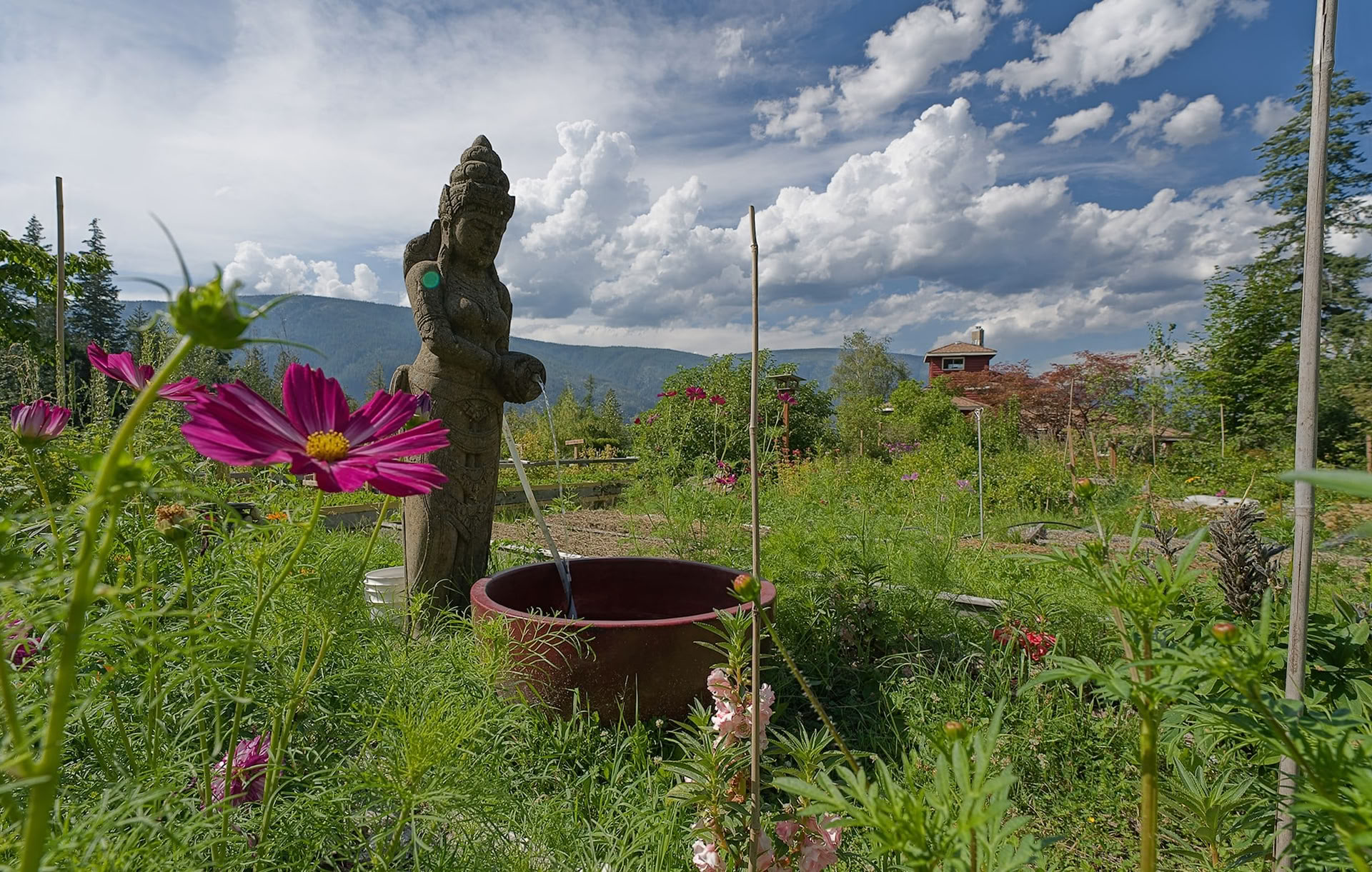 Pachakuti Mesa Apprenticeship – III dalis: Kondoro kelionė (Ateities kūrimas)