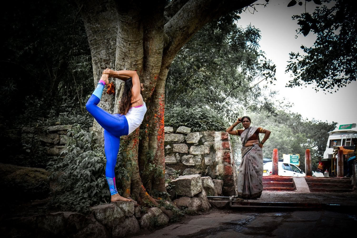 Spirit of the Himalayas" turas + Holi festivalis Indijoje