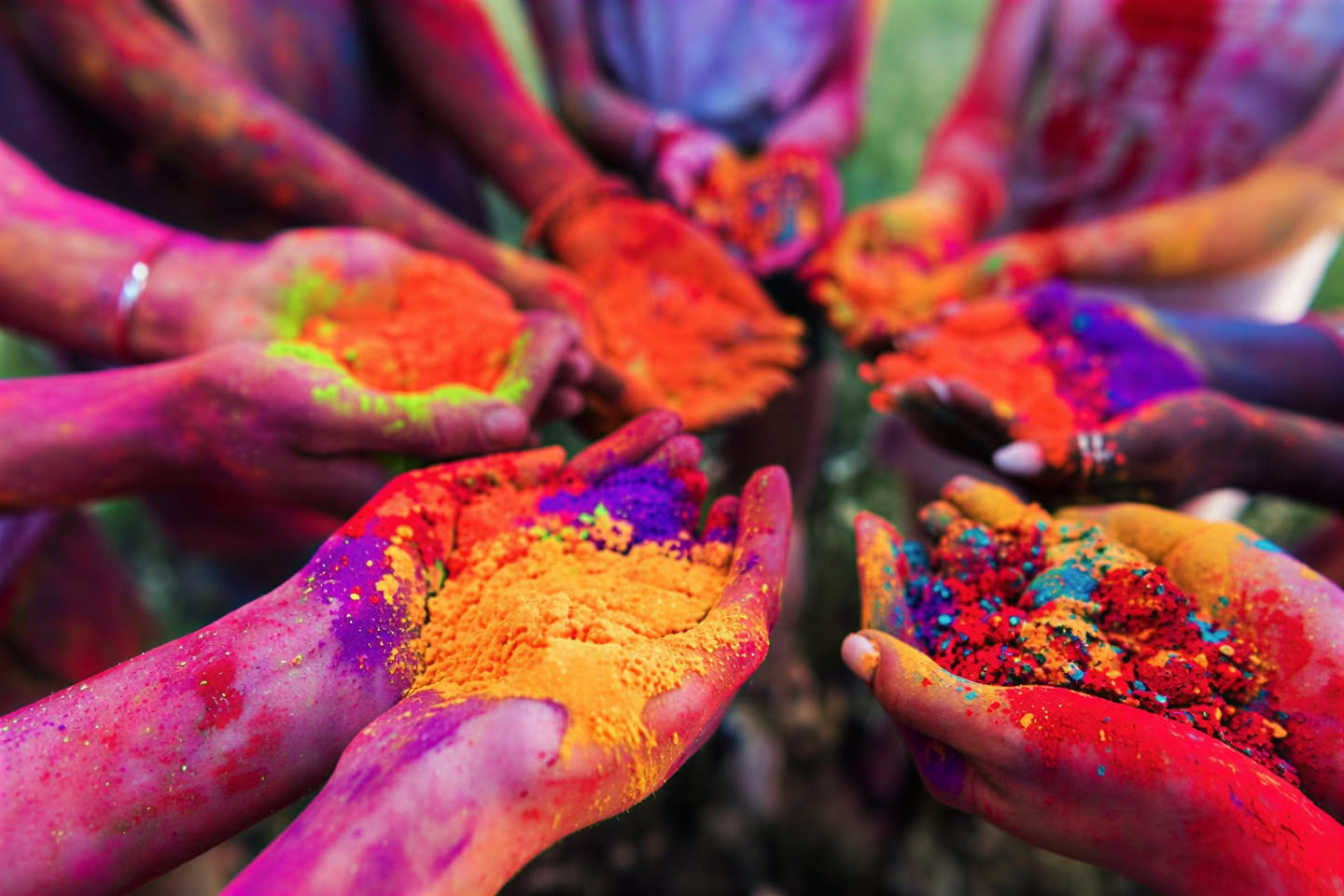 Spirit of the Himalayas" turas + Holi festivalis Indijoje