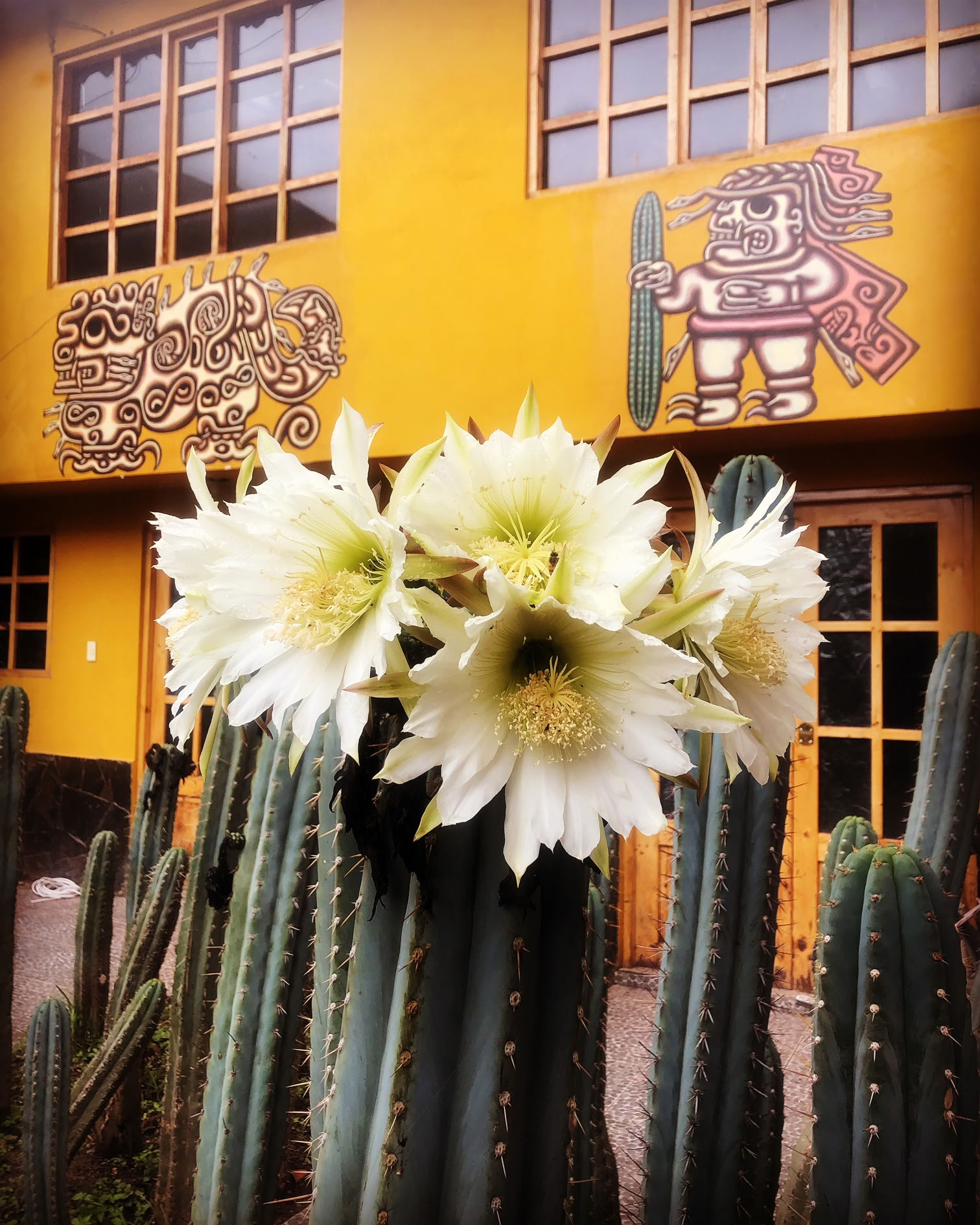 San Pedro ceremonija