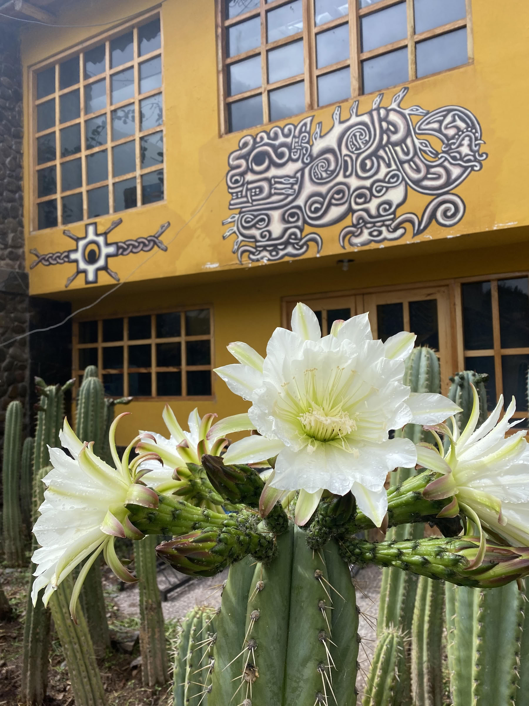 San Pedro ceremonija