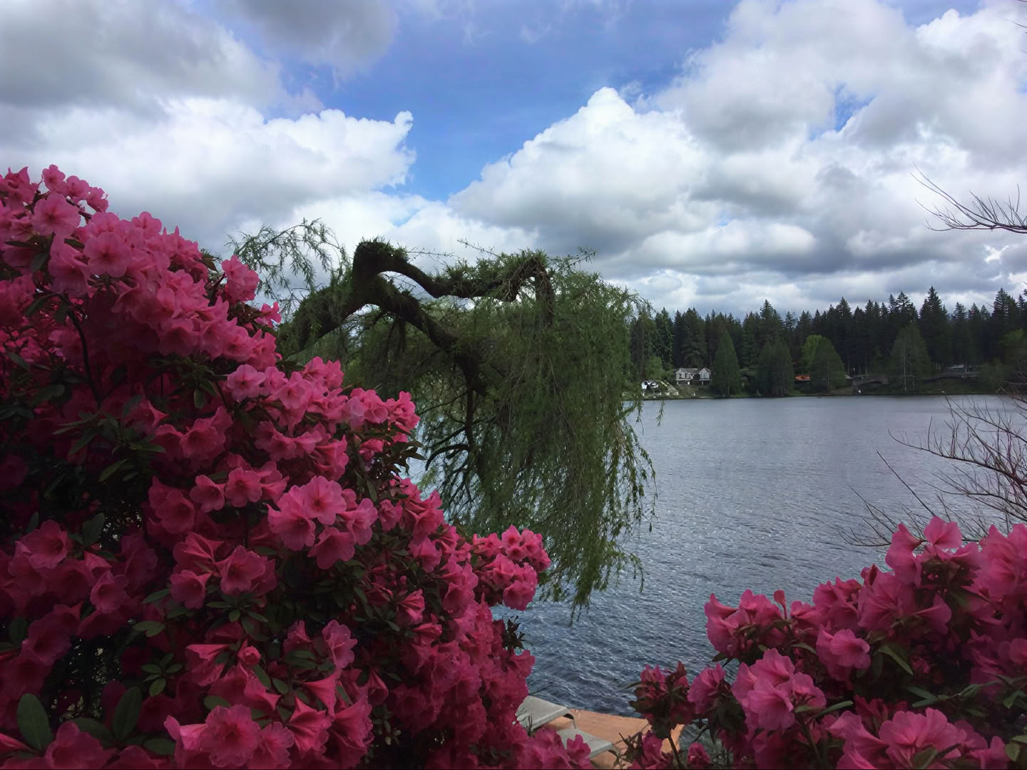 Cottage Lake Bed and Breakfast dvasinis retritas