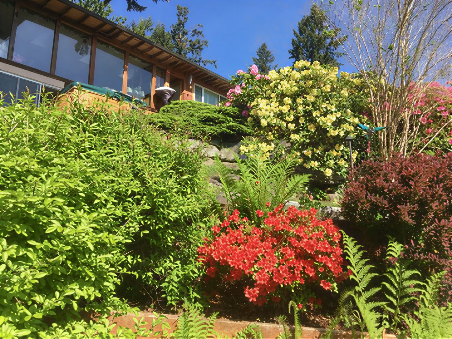 Cottage Lake Bed and Breakfast dvasinis retritas