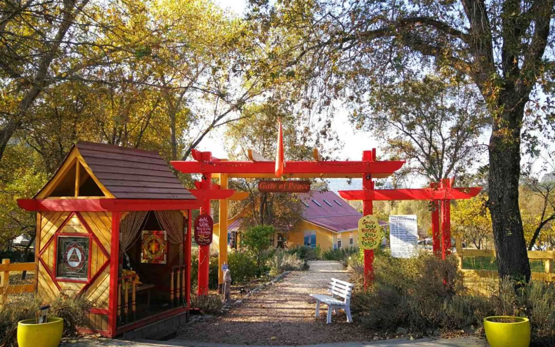 Ashram Sacred Tour – Įvadas į Sivananda jogą