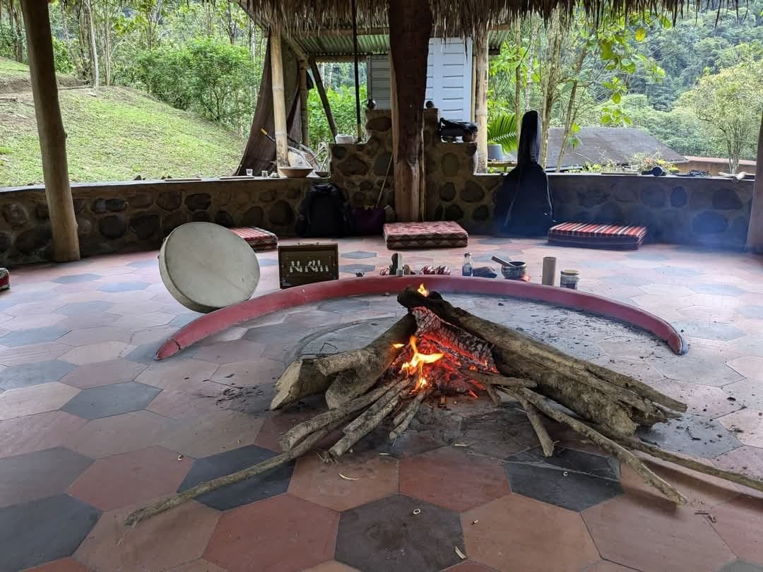 Ayahuasca Dienos ceremonija Hayulima gamtos rezervate