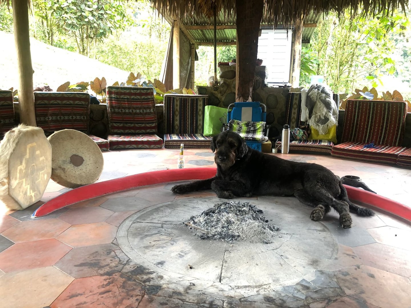 Ayahuasca Dienos ceremonija Hayulima gamtos rezervate