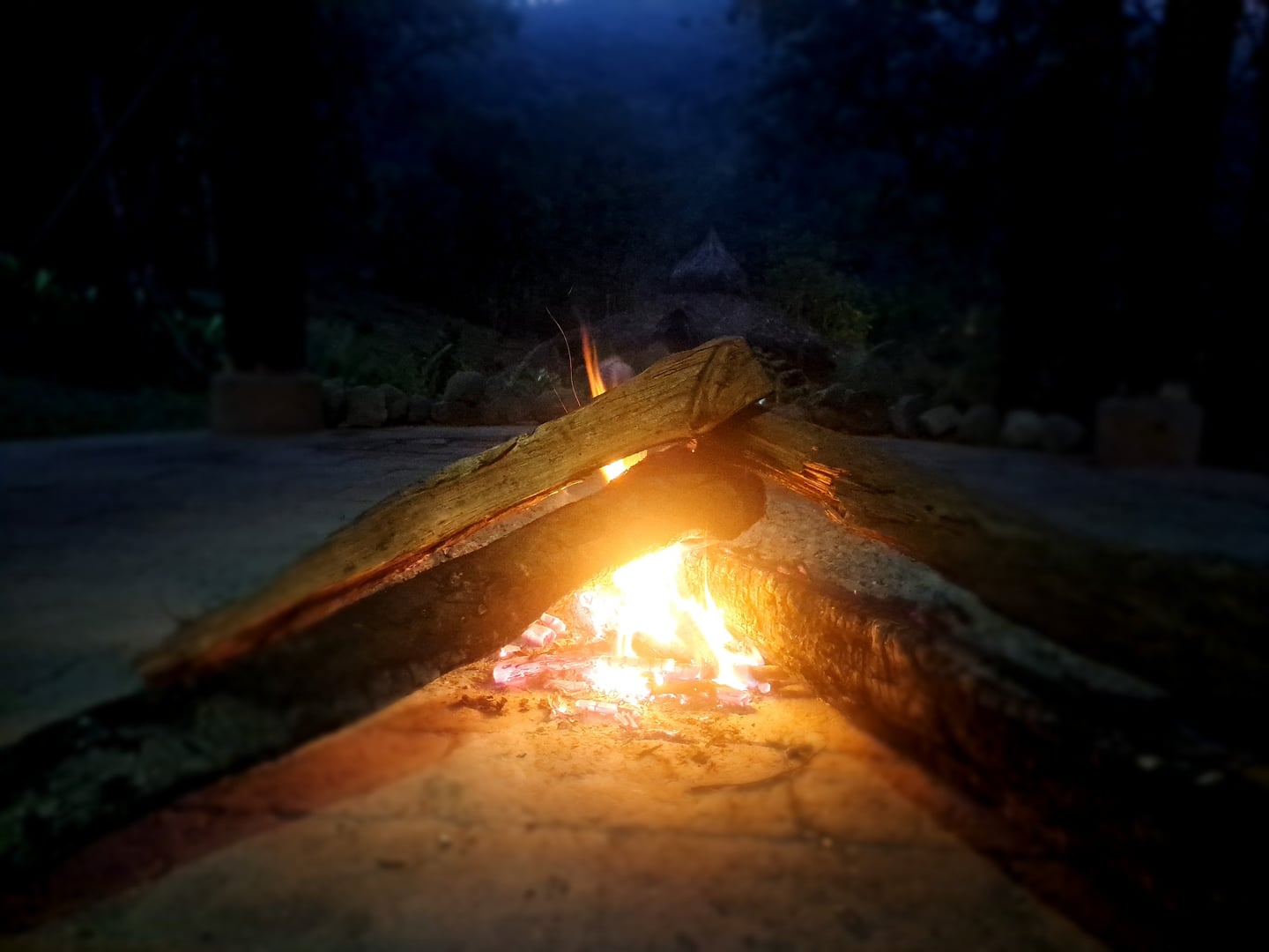 Ayahuasca Dienos ceremonija Hayulima gamtos rezervate