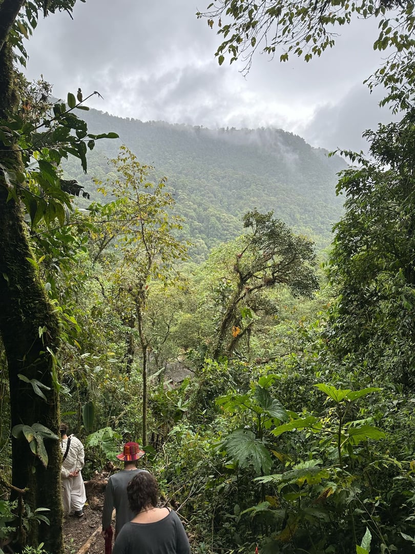 Ayahuasca Dienos ceremonija Hayulima gamtos rezervate