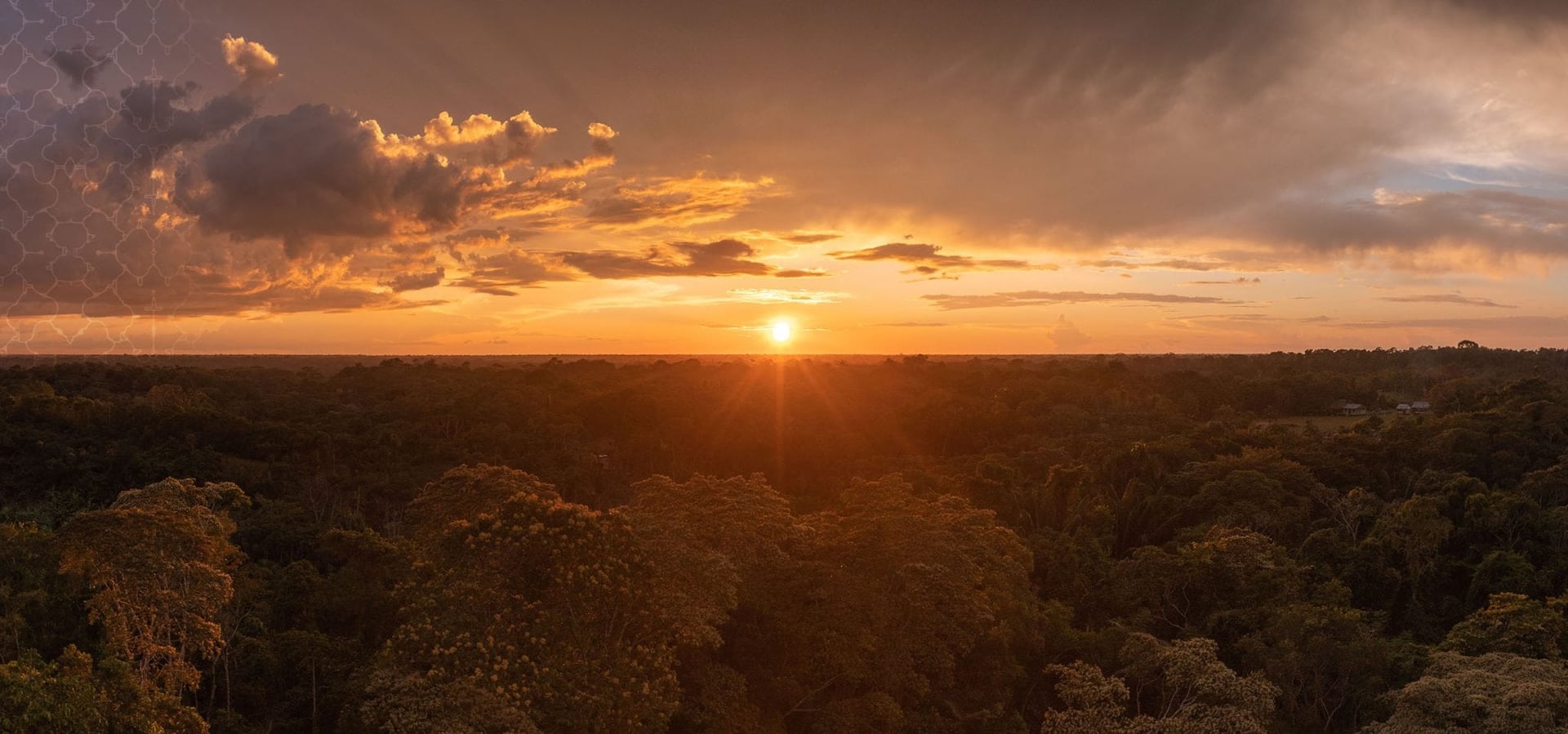 Ayahuasca gydymo retritas + 5 dienų integracijos retritas