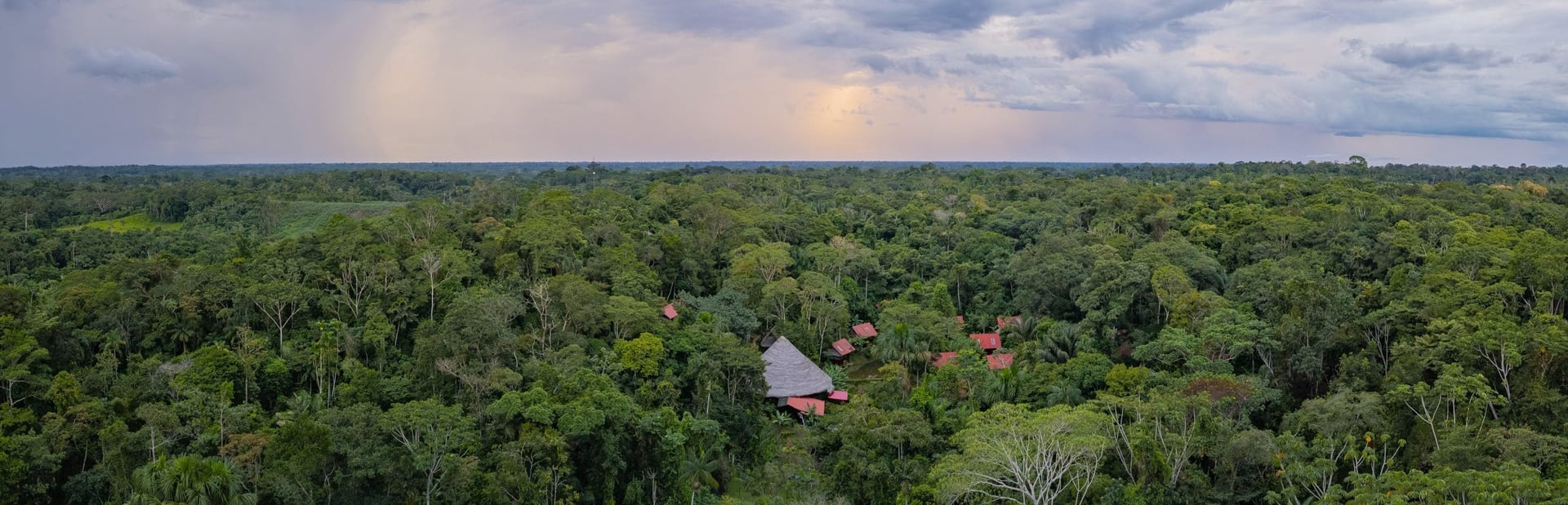 Ayahuasca gydymo retritas + 5 dienų integracijos retritas