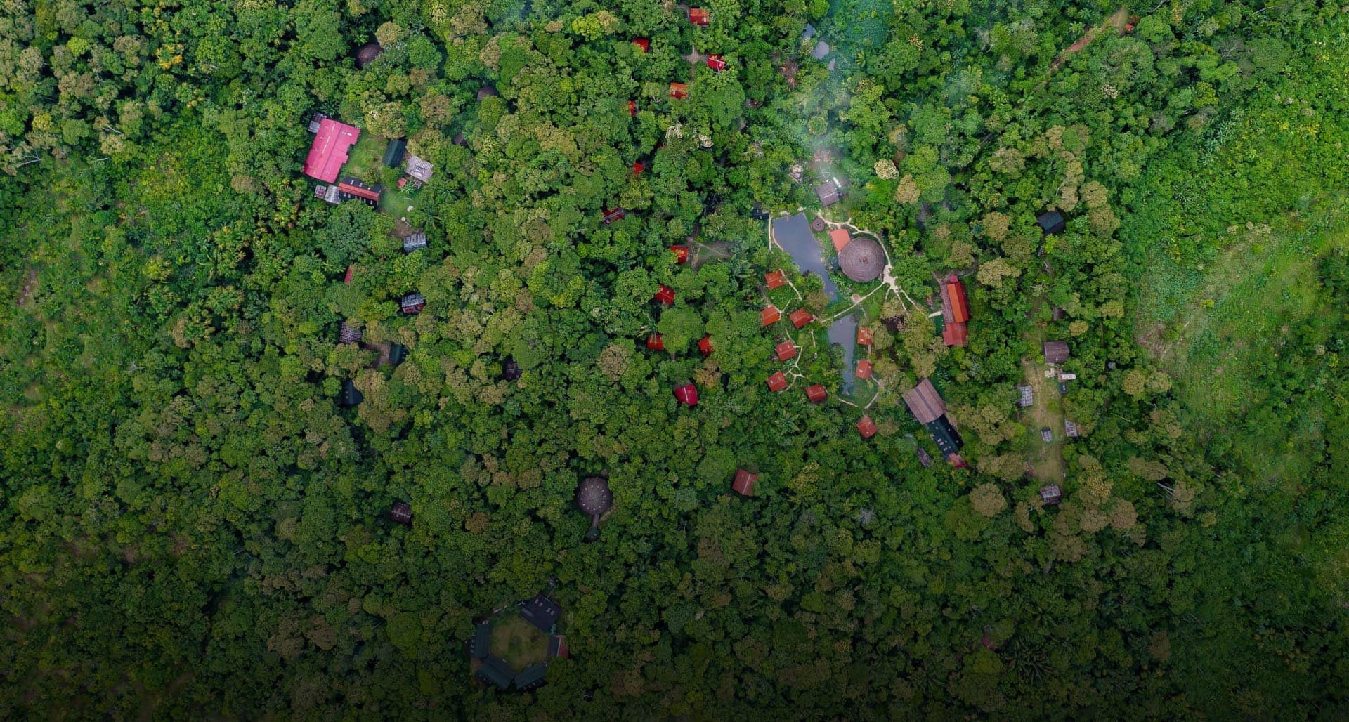 Ayahuasca gydymo retritas + 5 dienų integracijos retritas