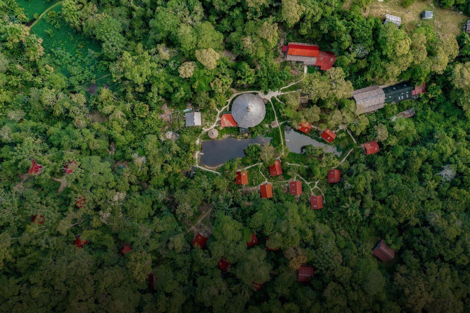 Ayahuasca gydymo retritas + 5 dienų integracijos retritas