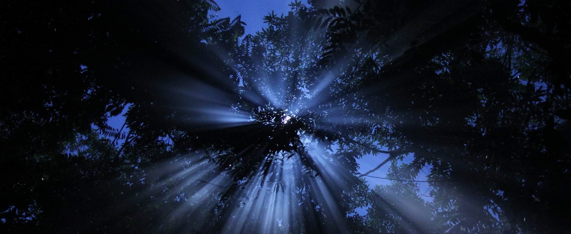Ayahuasca gydymo retritas + 5 dienų integracijos retritas