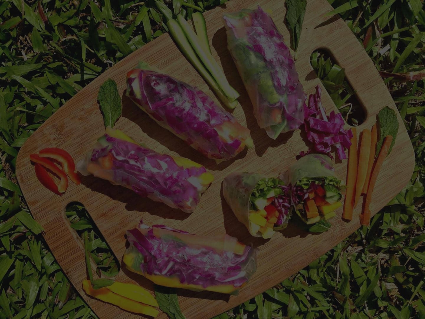 Ayahuasca gydymo retritas + 5 dienų integracijos retritas