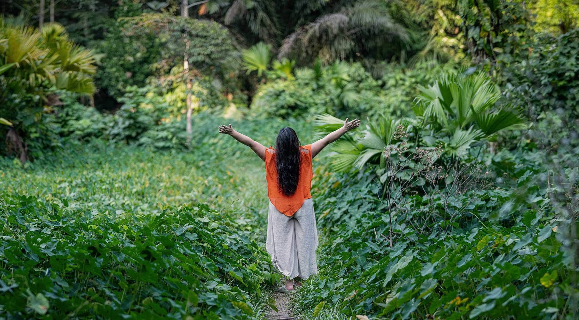 Ayahuasca gydymo retritas + 5 dienų integracijos retritas