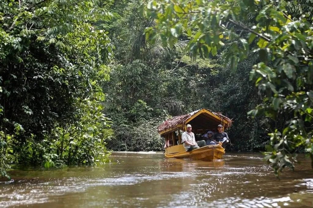 Ayahuasca gydymo retritas + 5 dienų integracijos retritas