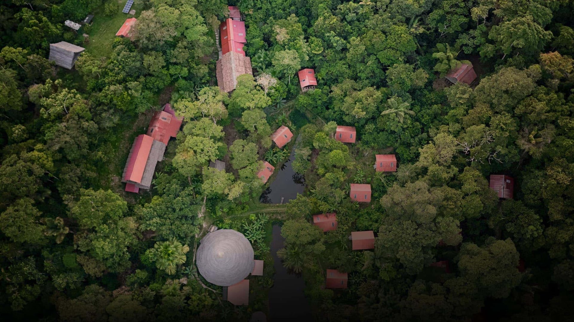 Ayahuasca gydymo retritas + 5 dienų integracijos retritas