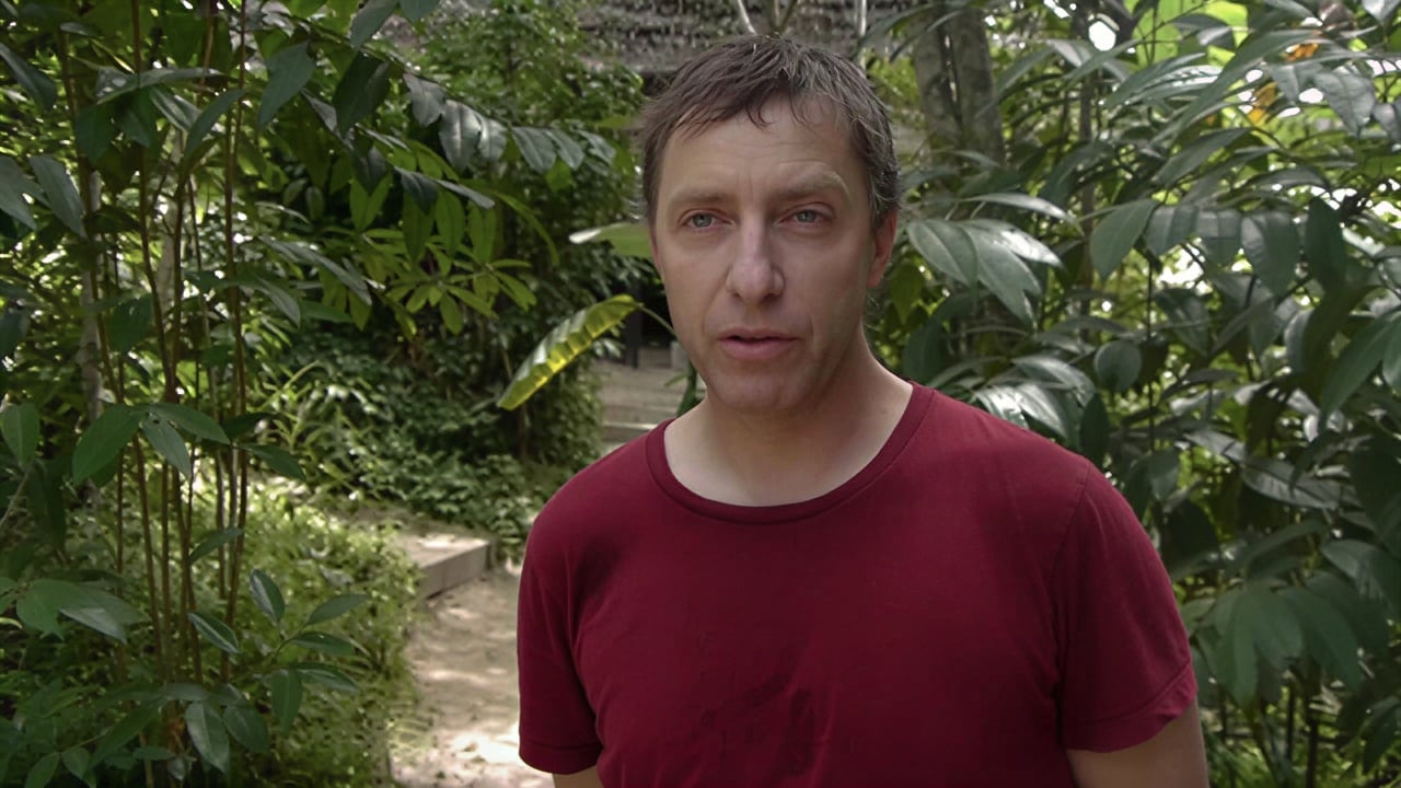Ayahuasca gydymo retritas + 5 dienų integracijos retritas