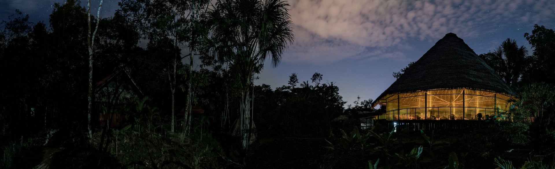 Moterų Ayahuasca gydymo retritas