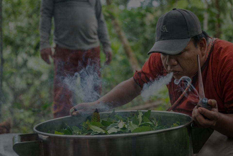 Moterų Ayahuasca gydymo retritas