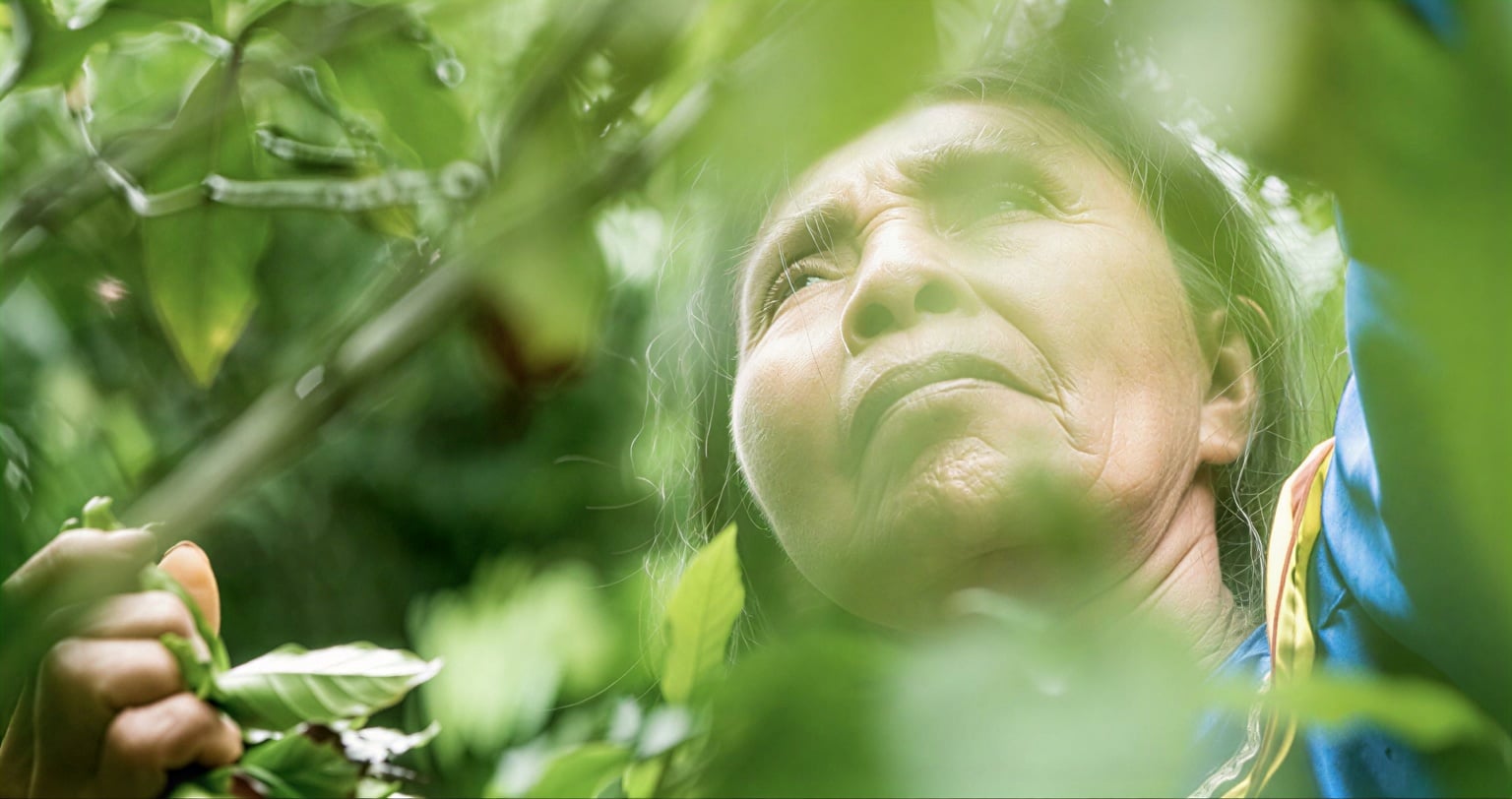 Moterų Ayahuasca gydymo retritas