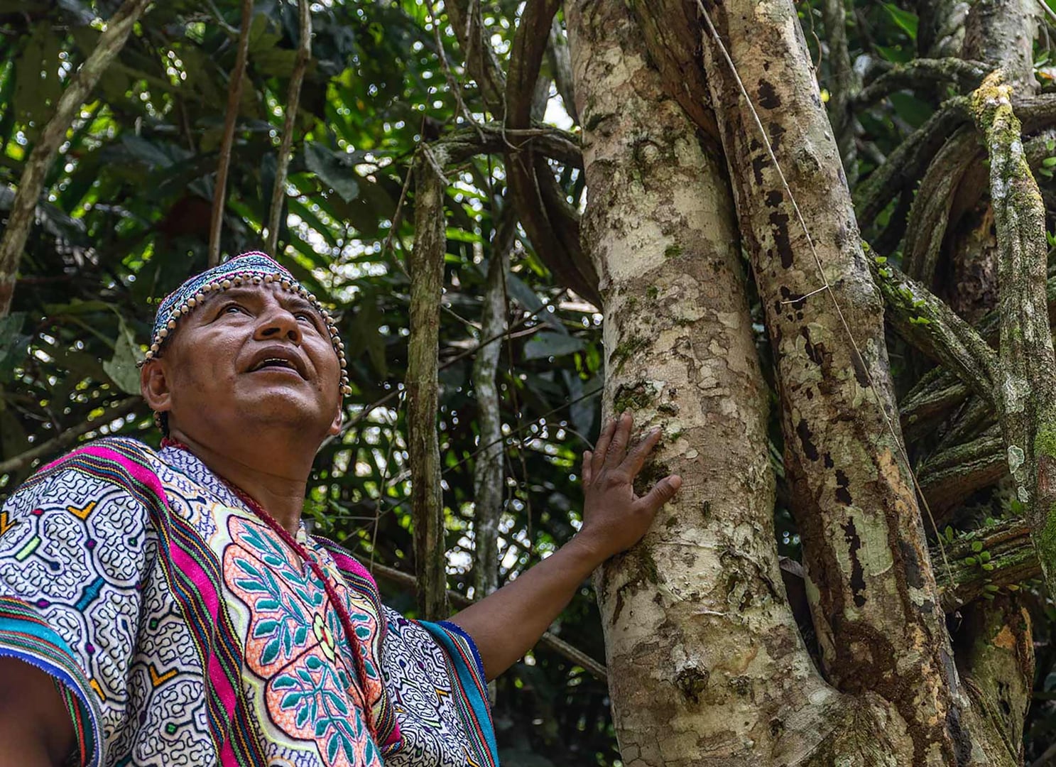 Moterų Ayahuasca gydymo retritas