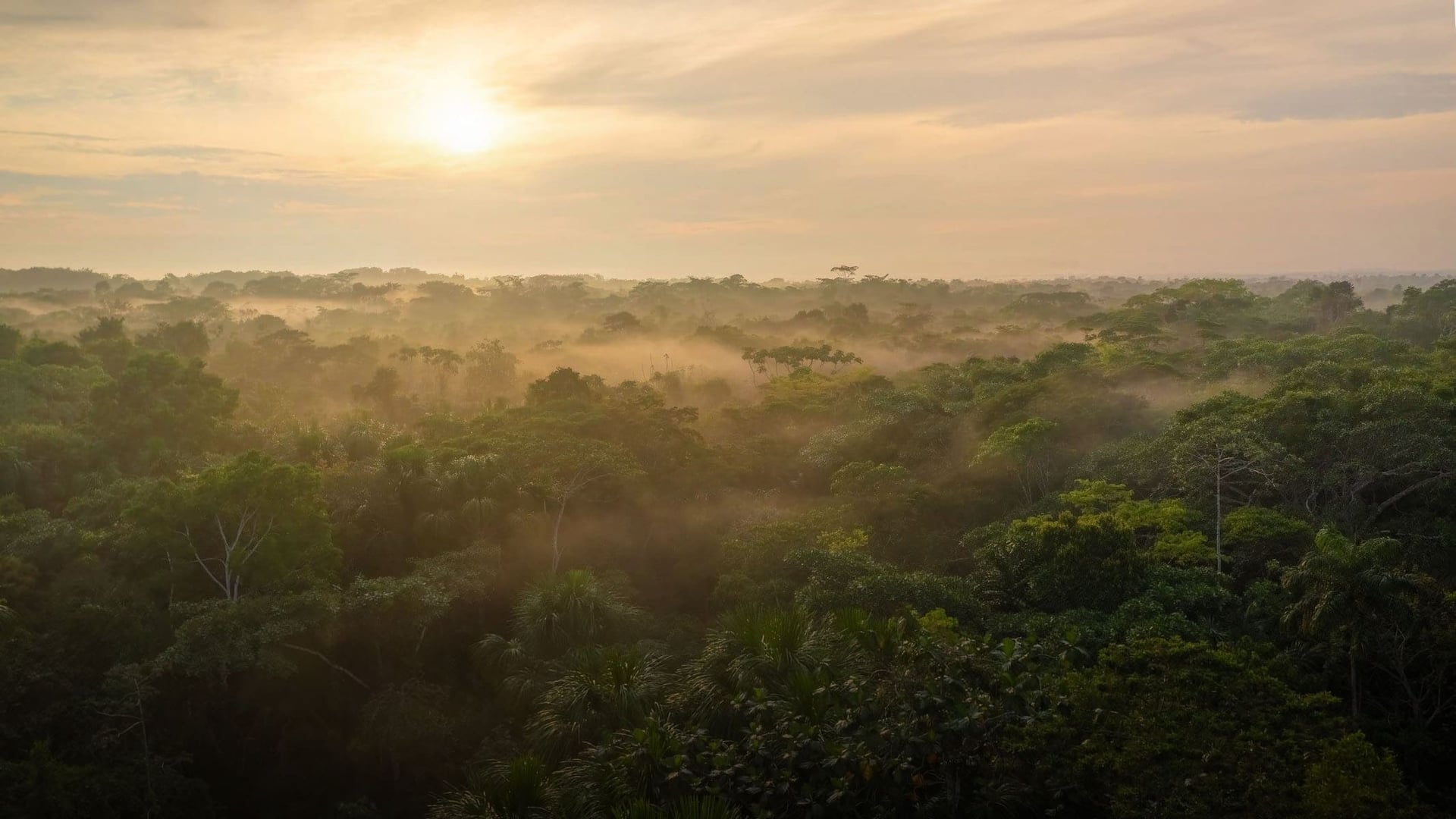 Moterų Ayahuasca gydymo retritas