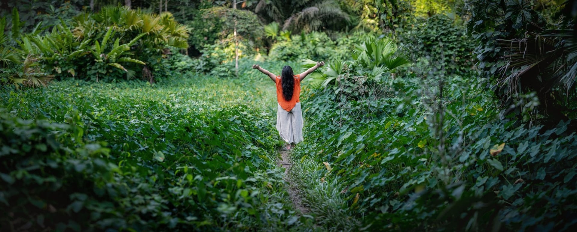 Moterų Ayahuasca gydymo retritas