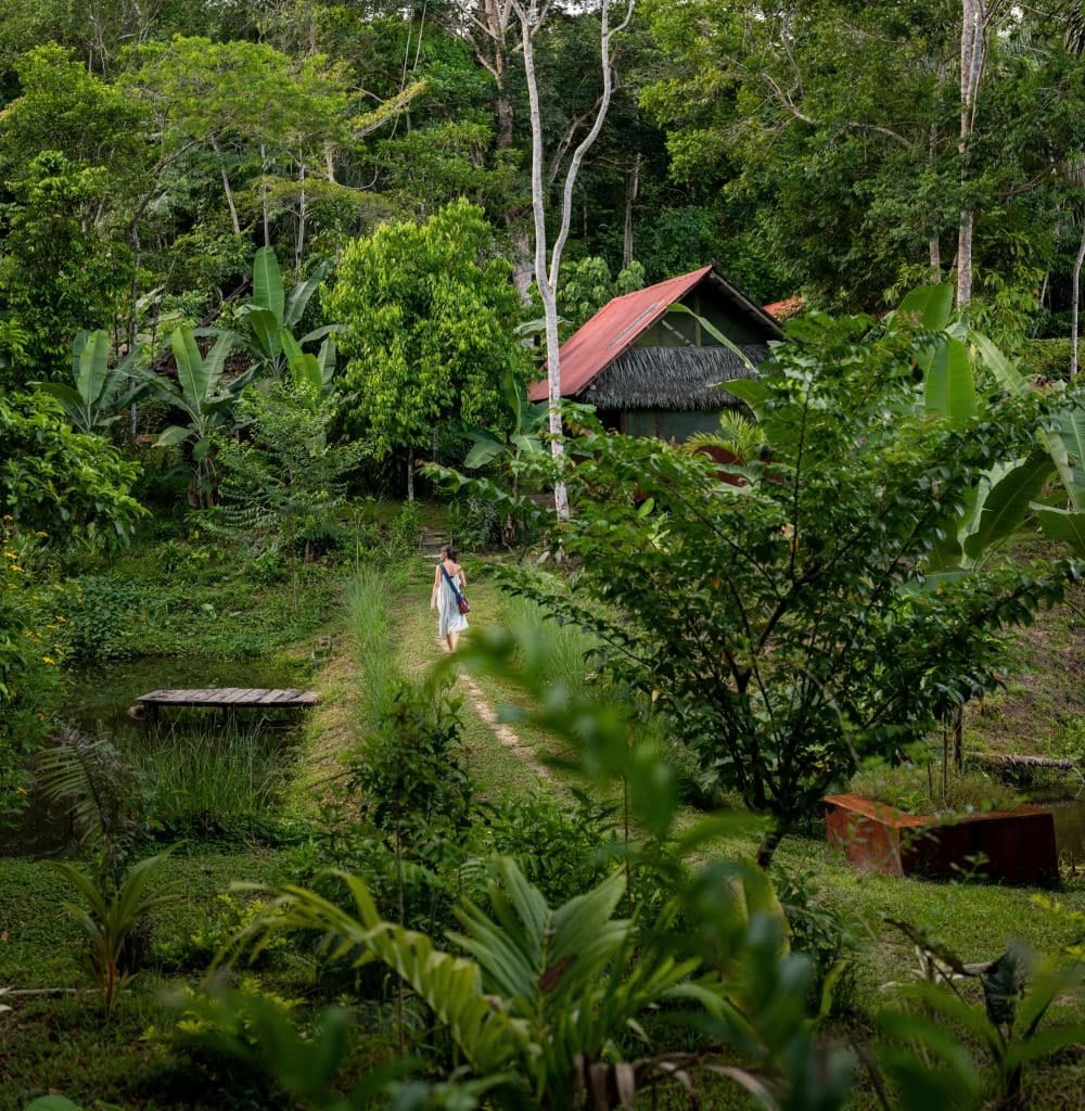 Moterų Ayahuasca gydymo retritas
