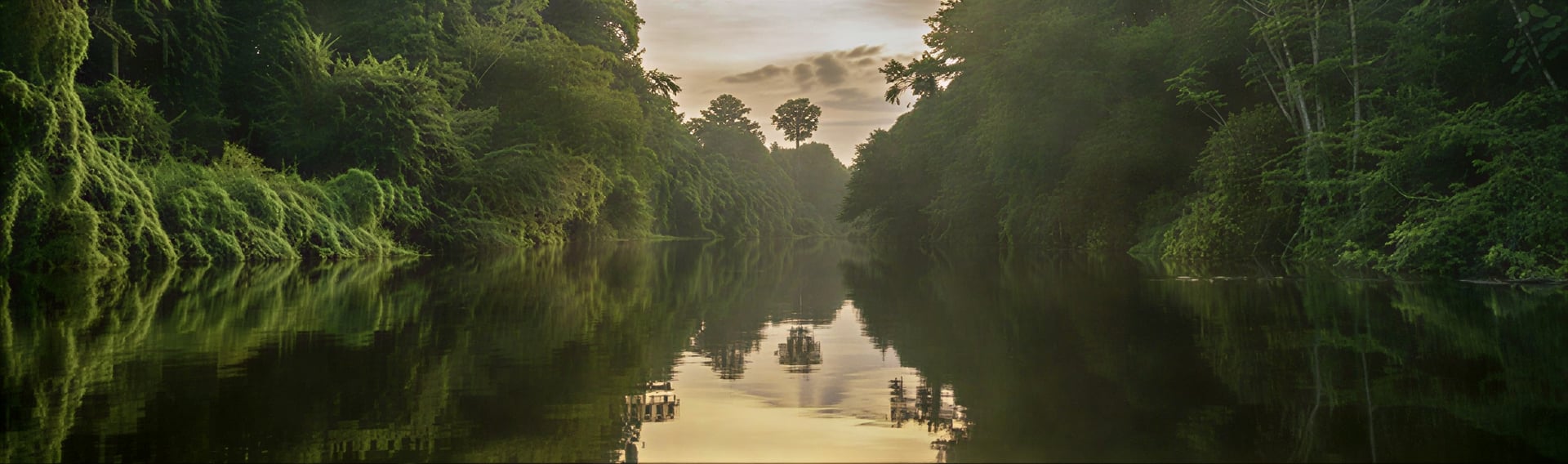 Moterų Ayahuasca gydymo retritas
