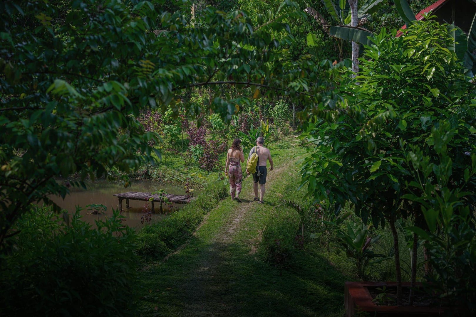 Moterų Ayahuasca gydymo retritas