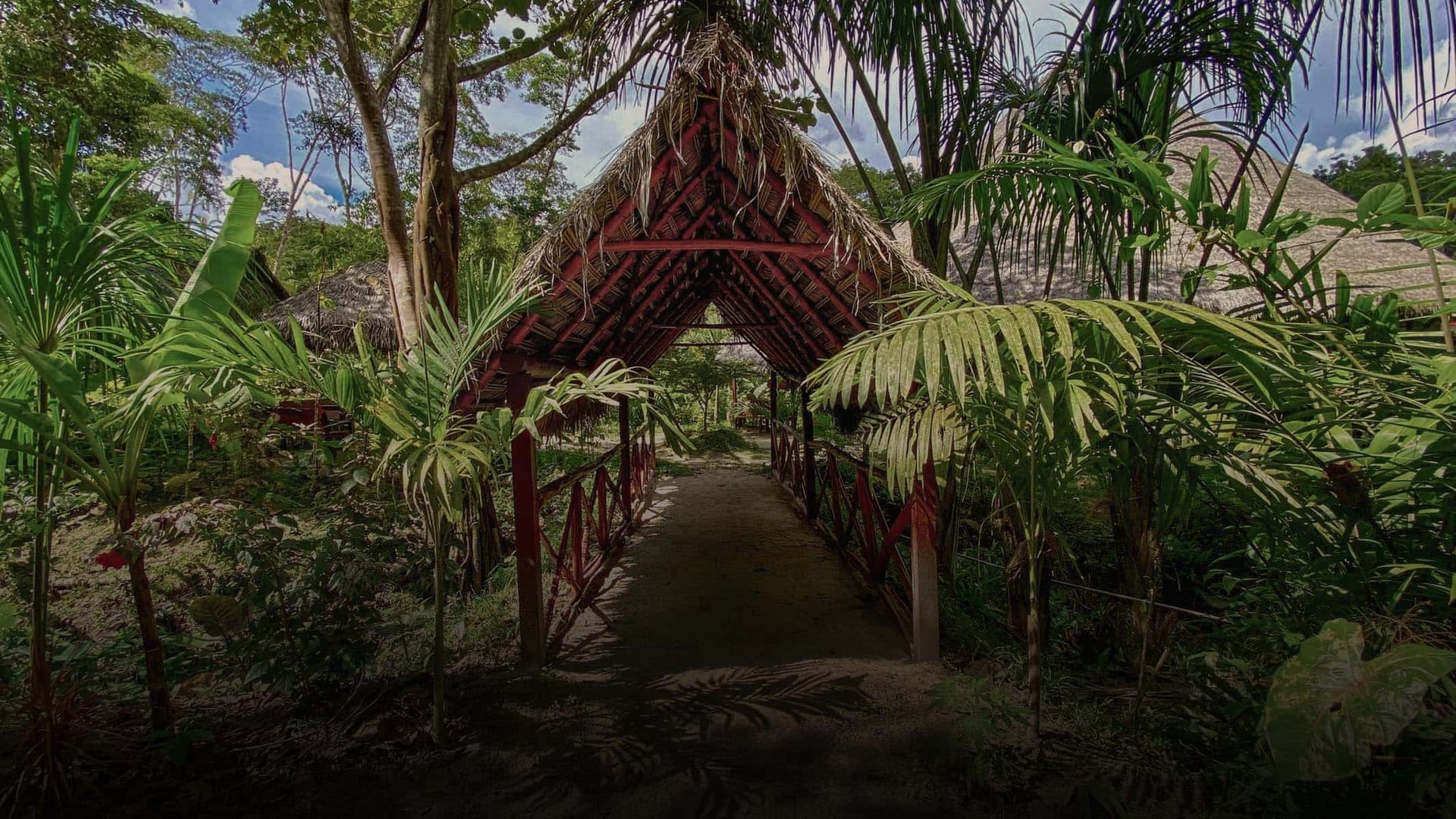 Moterų Ayahuasca gydymo retritas