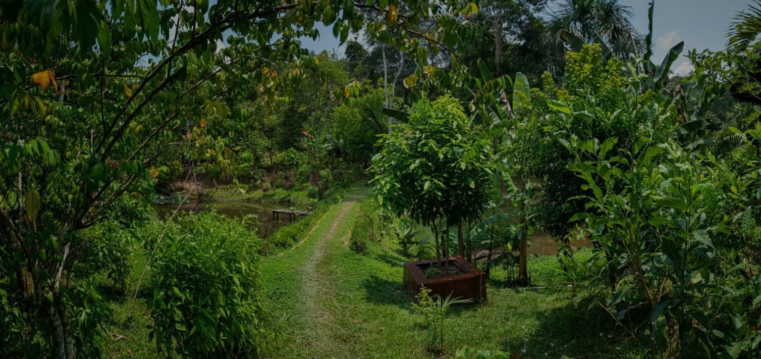 Moterų Ayahuasca gydymo retritas