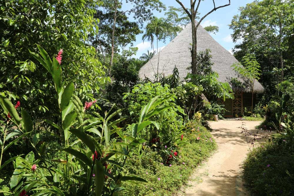 Moterų Ayahuasca gydymo retritas