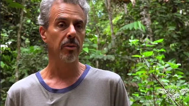 Sveikatos priežiūros specialistų ayahuasca retritas 2026