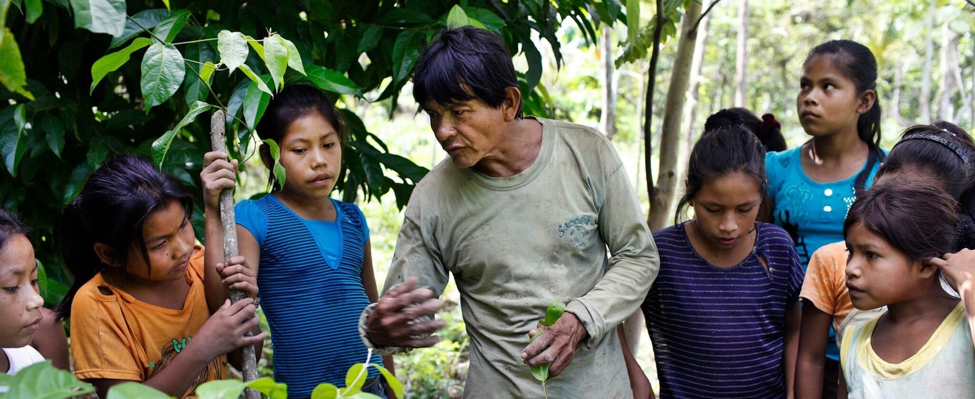 Living in Alignment Ayahuasca Gydymo retritas + 5 dienų integracijos pratęsimo retritas