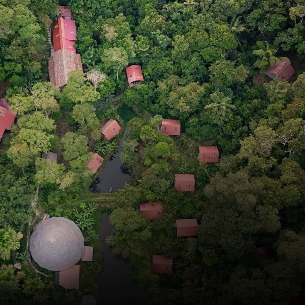 Tradicinės augalų dietos pas Shipibo Rao