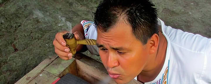 10 dienų atgaivinimo ayahuasca retritas