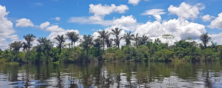 10 dienų moterų ajahuaskos retritas