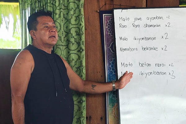 Aštuonių savaičių Shipibo ajahuaskos iniciacijos kursas Peru – 2026 m. spalio 4 d. – lapkričio 28 d.