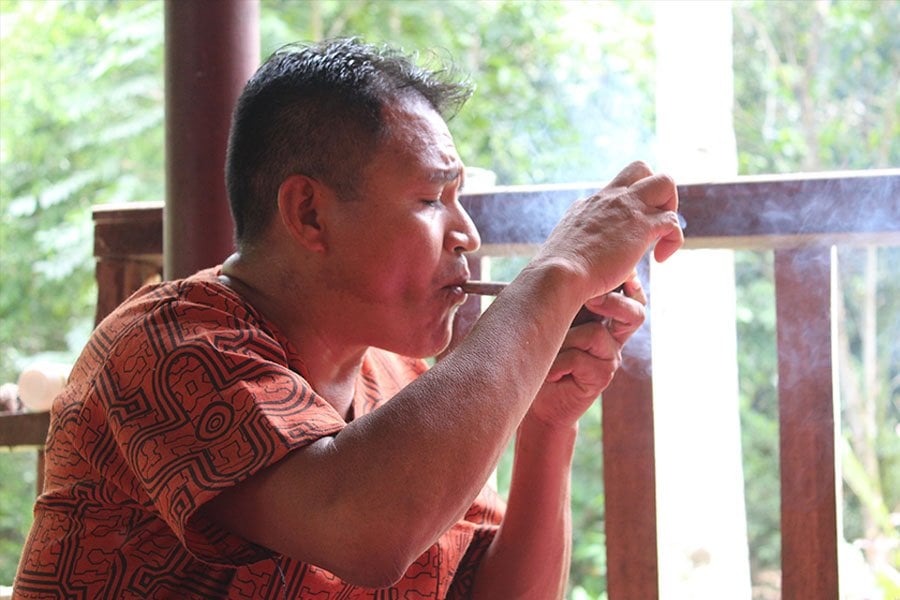 Shipibo ayahuasca retritas ir augalų dieta