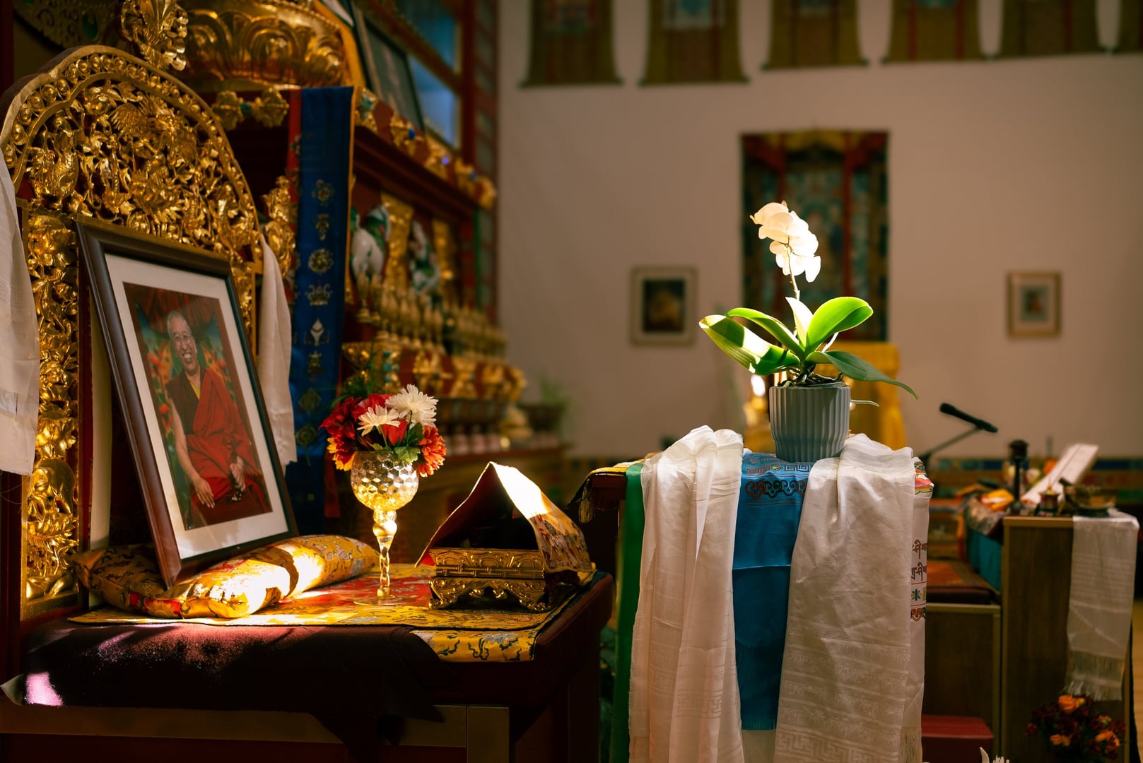 Milarepa: Mokymai apie nepaprastą Tibeto jogio gyvenimą su Ani Lodro