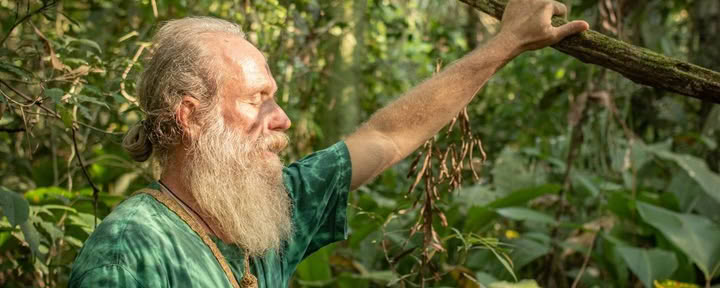 Ayahuasca ceremonija