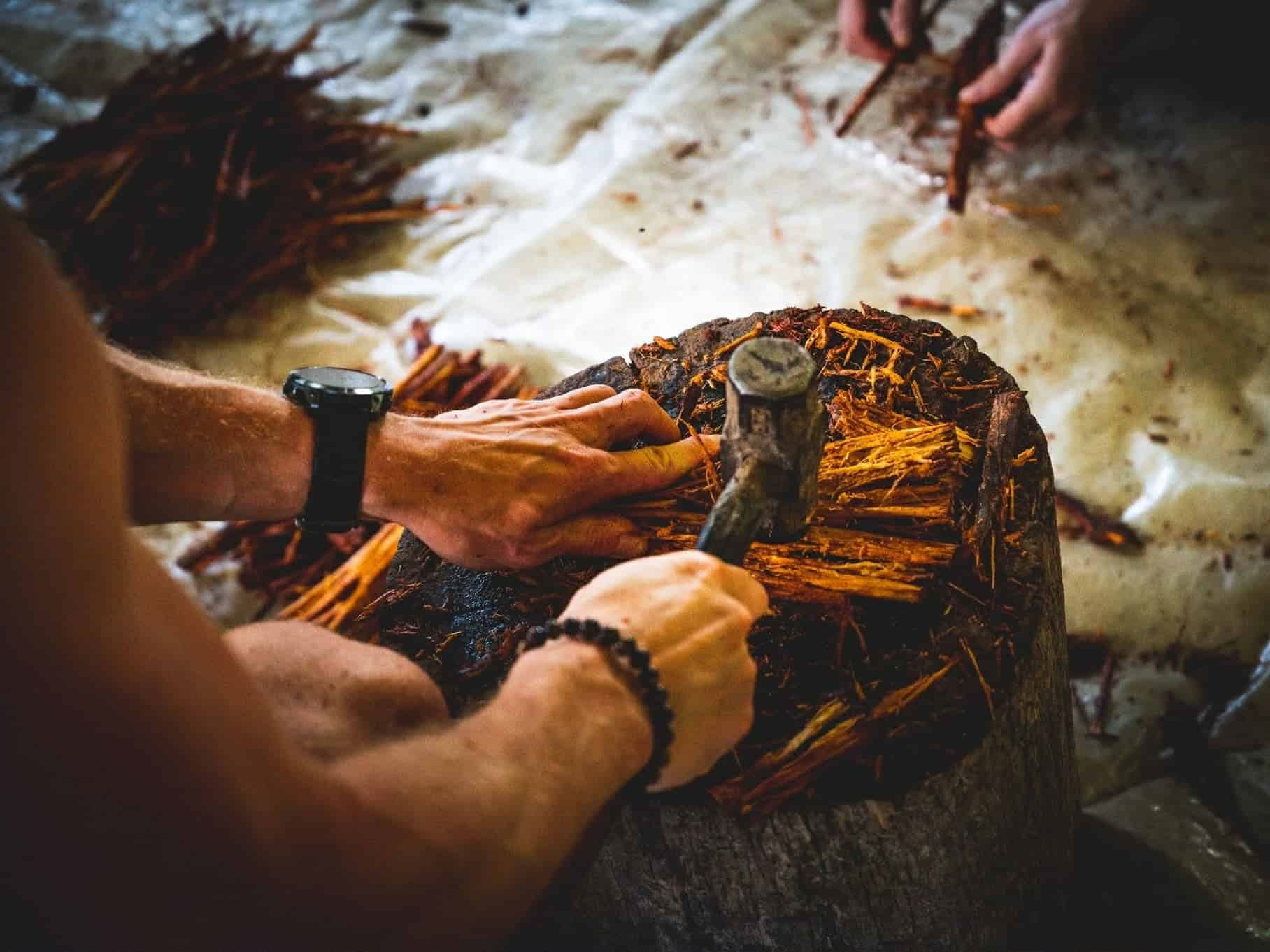5 dienų Ayahuasca retritas Ekvadore